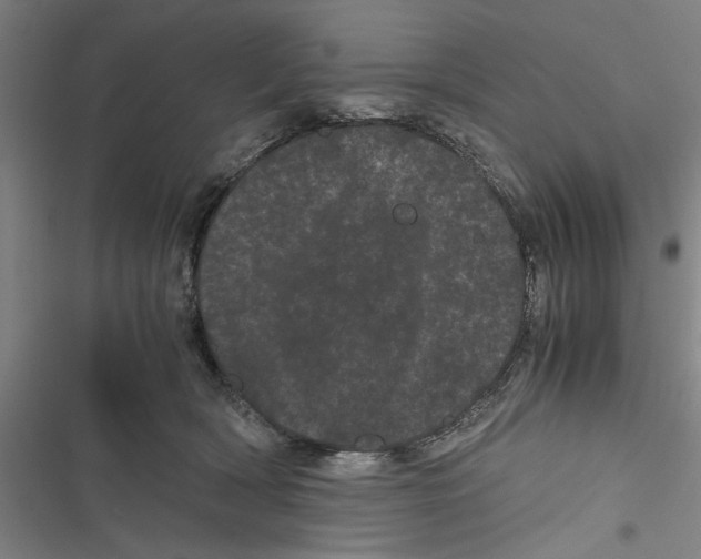 X0000116760418201001141434