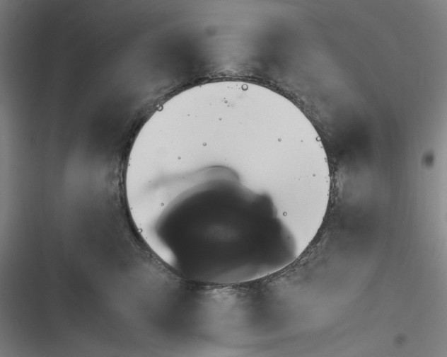 X0000116760423201001141434