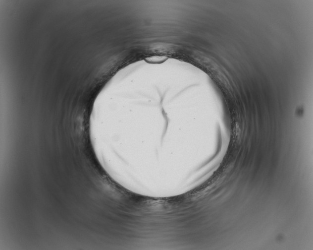 X0000116760424201001141434