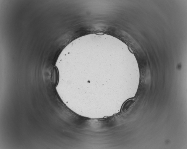 X0000116760425201001141434