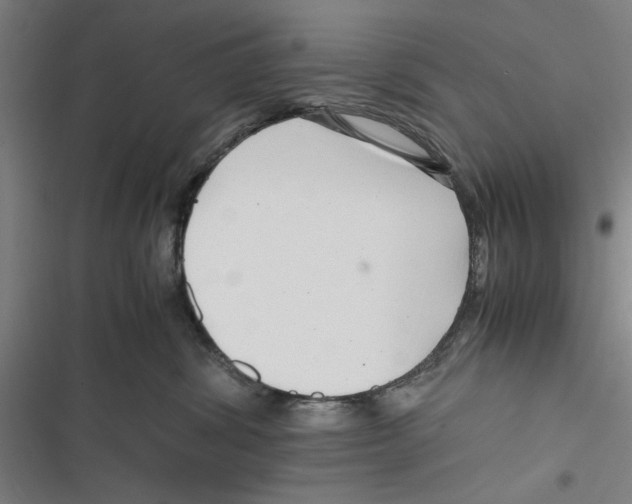 X0000116760428201001141433