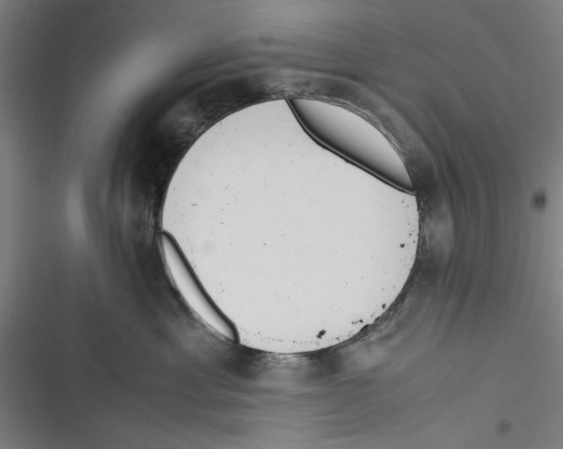 X0000116760429201001141433