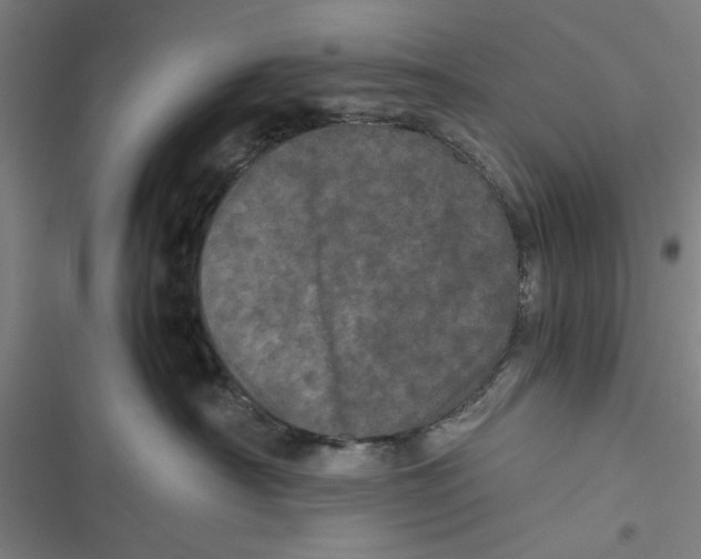 X0000116760430201001141433