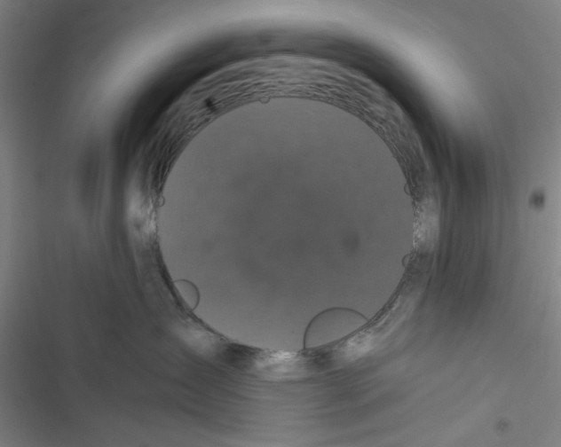 X0000116760431201001141433