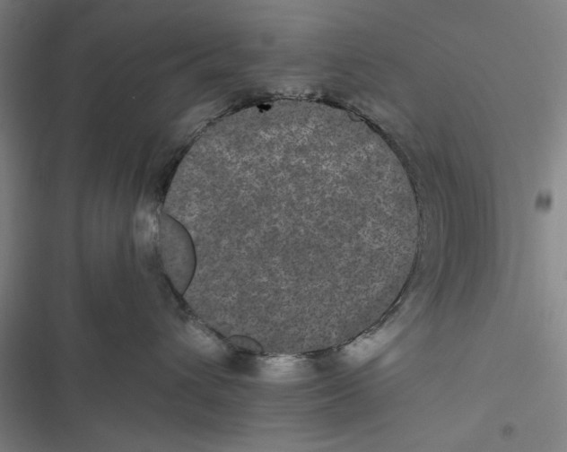 X0000116760432201001141433