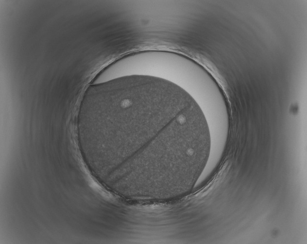 X0000116760433201001141433