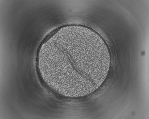 X0000116760434201001141433