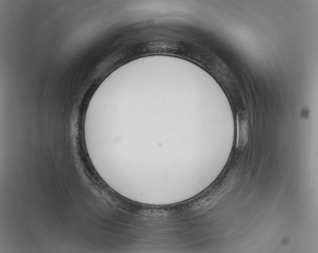 X0000116760435201001141433