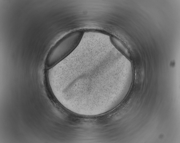 X0000116760436201001141433