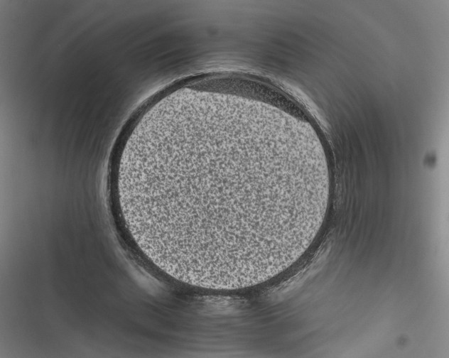 X0000116760439201001141433