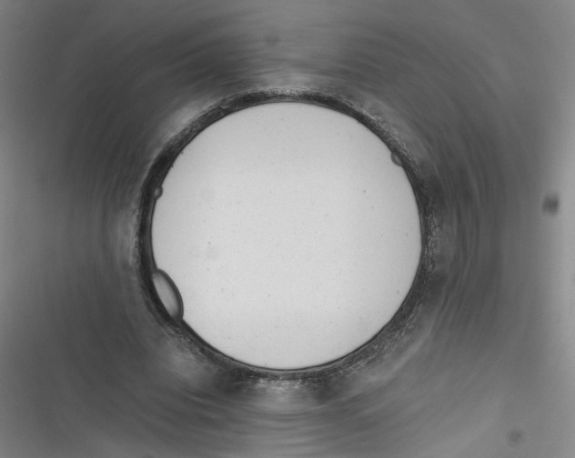 X0000116760440201001141433