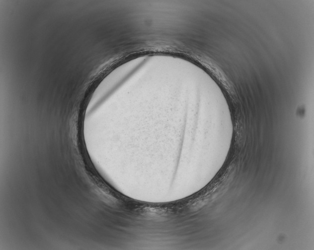 X0000116760442201001141433