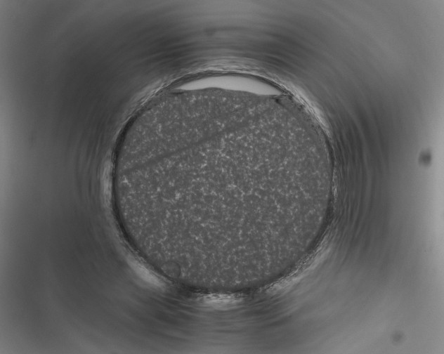 X0000116760445201001141433