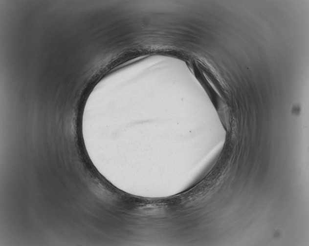 X0000116760447201001141433