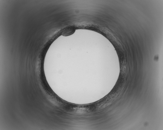 X0000116760448201001141433