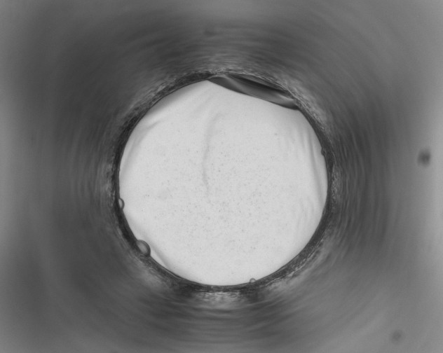 X0000116760449201001141433