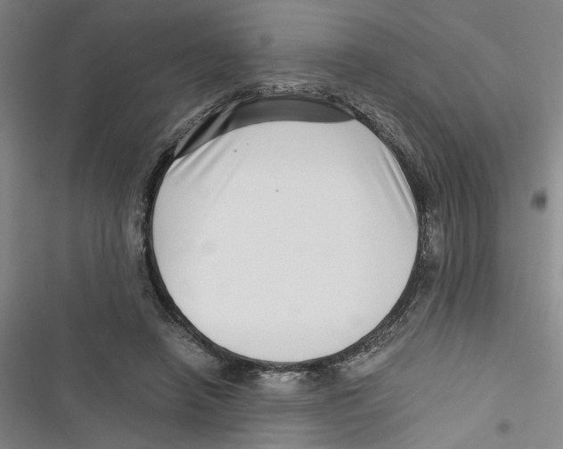 X0000116760450201001141433