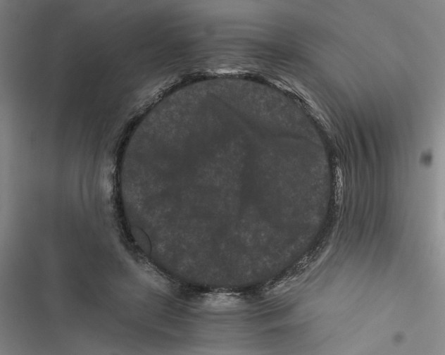 X0000116760451201001141433