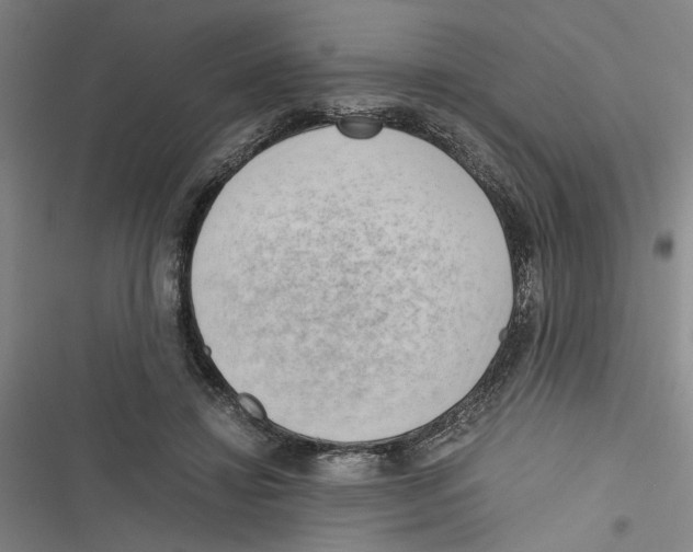 X0000116760452201001141433