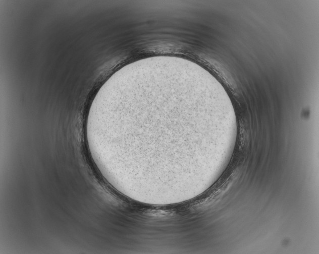 X0000116760453201001141433