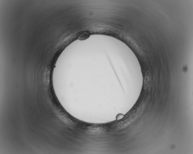 X0000116760454201001141433