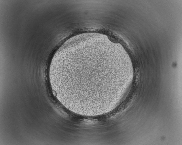 X0000116760455201001141433