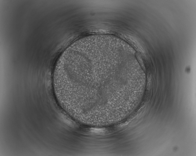 X0000116760457201001141433