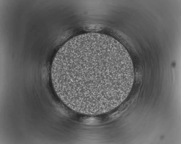 X0000116760460201001141433