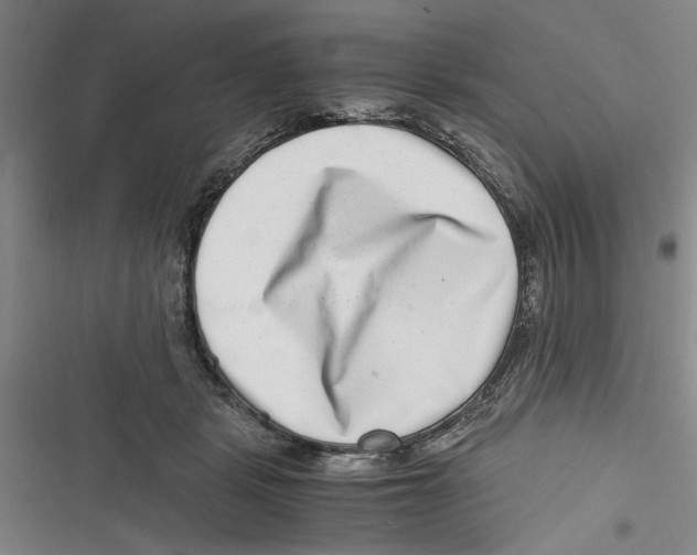 X0000116760461201001141433