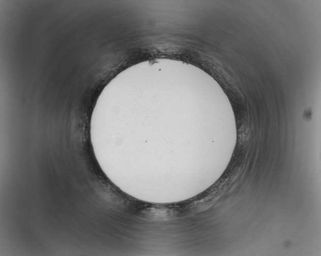 X0000116760464201001141433