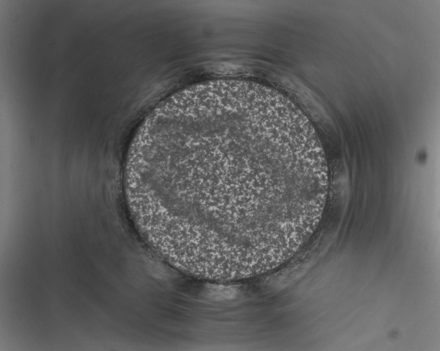 X0000116760469201001141433