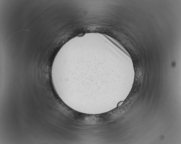 X0000116760470201001141433