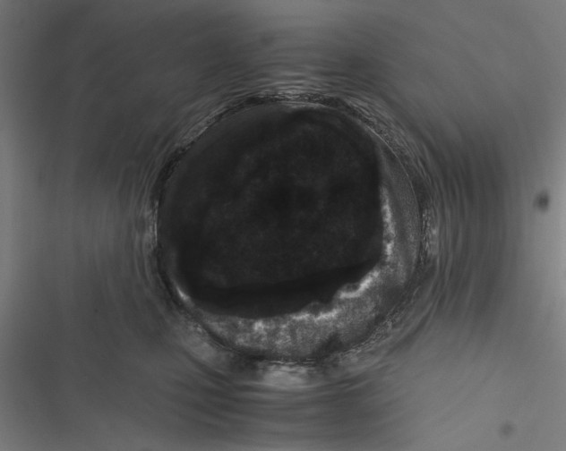 X0000116760471201001141433