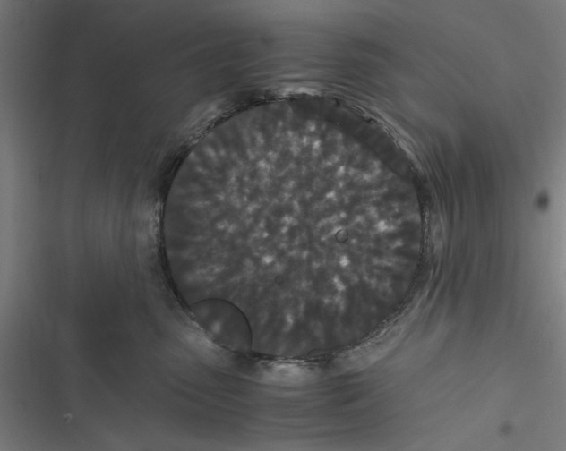 X0000116760475201001141433