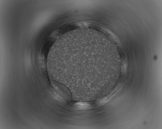 X0000116760477201001141433