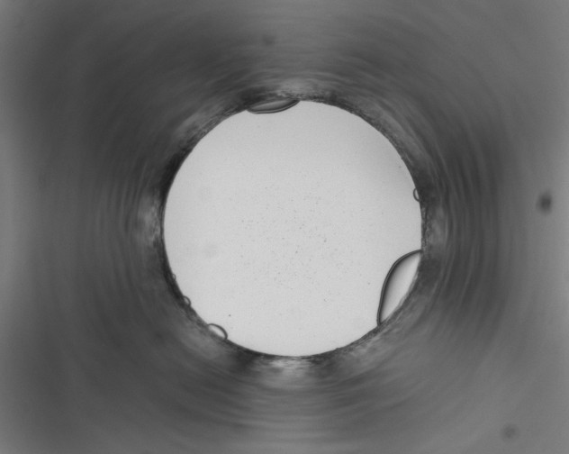 X0000116760478201001141433