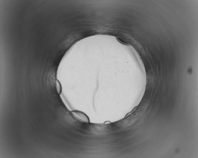 X0000116760479201001141433