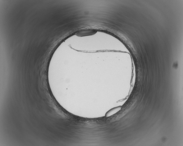 X0000116760481201001141433