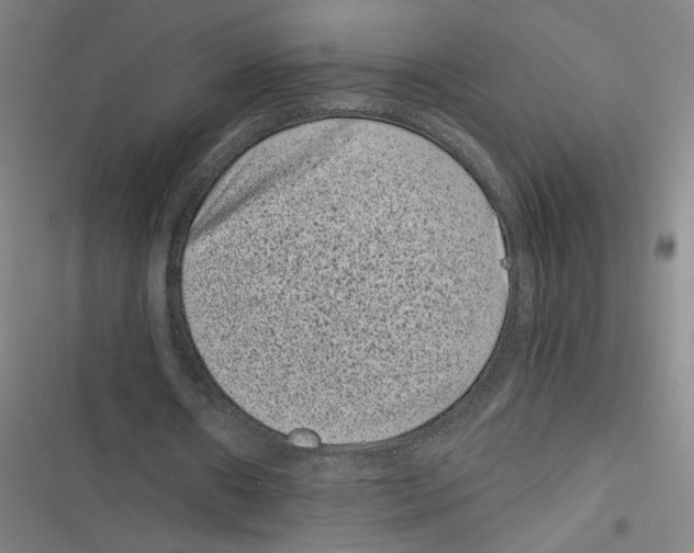 X0000116760482201001141433