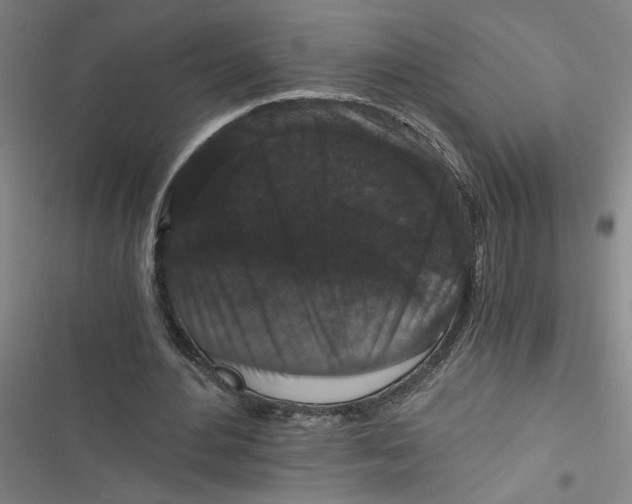 X0000116760484201001141433