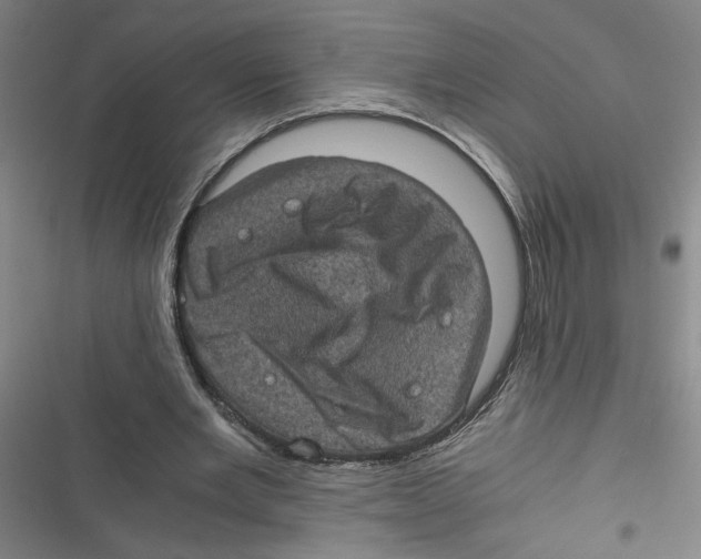 X0000116760485201001141433