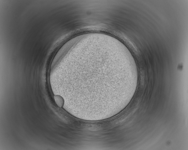 X0000116760486201001141433