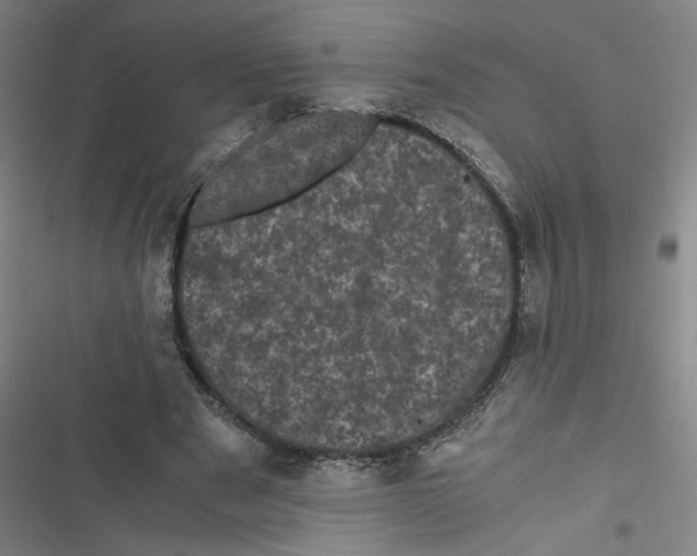 X0000116760489201001141433