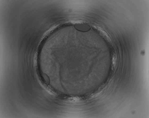 X0000116760492201001141433