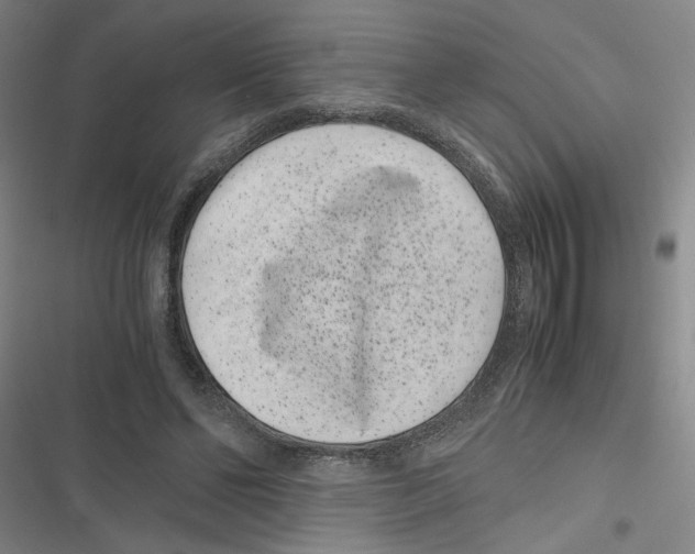 X0000116760494201001141433