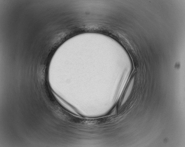 X0000116760495201001141433