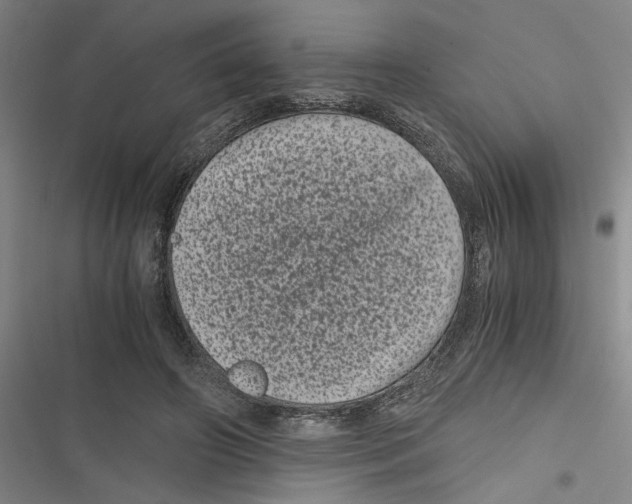 X0000116760498201001141433