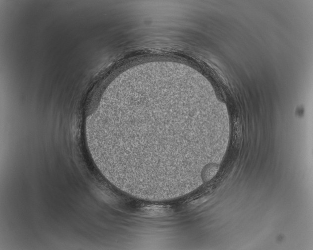 X0000116760499201001141433