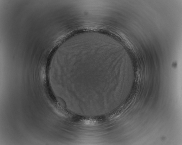 X0000116760500201001141433