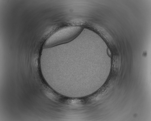 X0000116760501201001141432